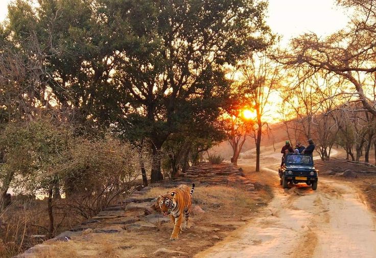Nagpur to Pench National Park